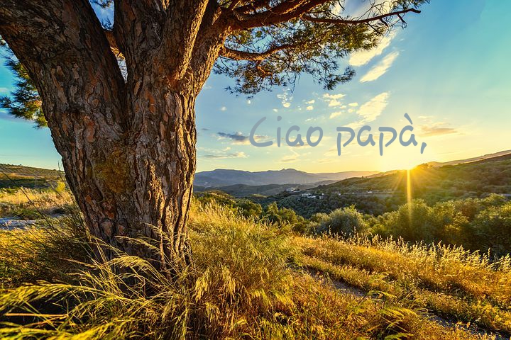 CIAO PAPA’