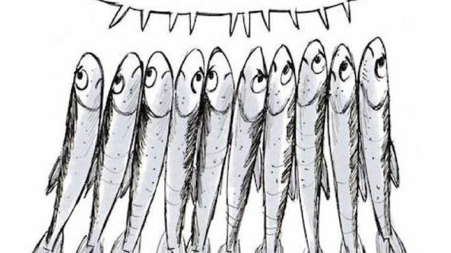 SARDINE