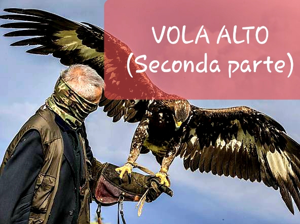 VOLA ALTO